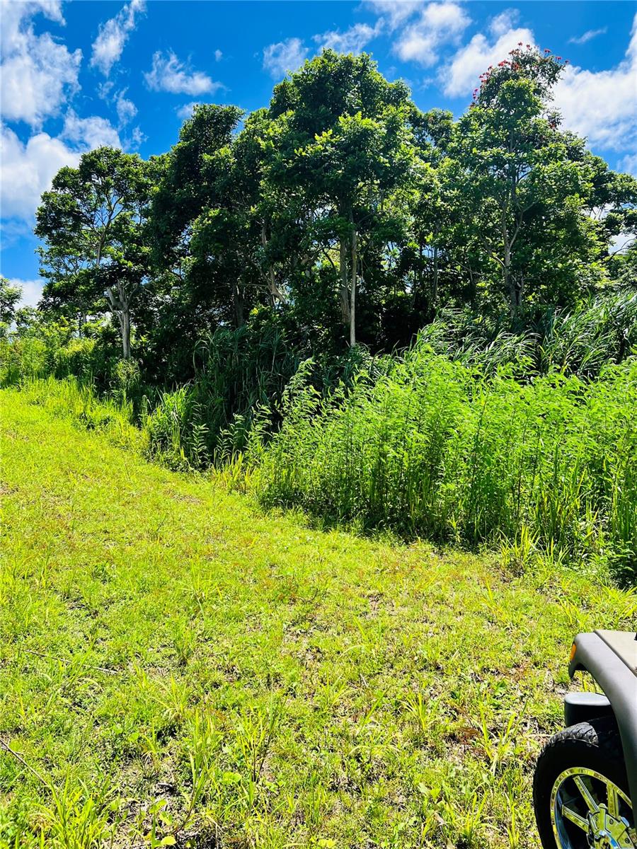 857 Carretera, PR
