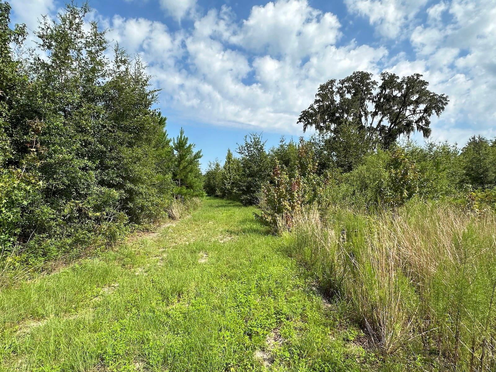 MORRISTON, FL