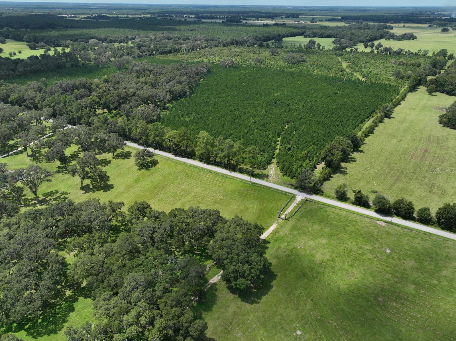 MORRISTON, FL