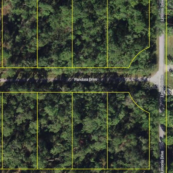 203 Pandora Drive, FL