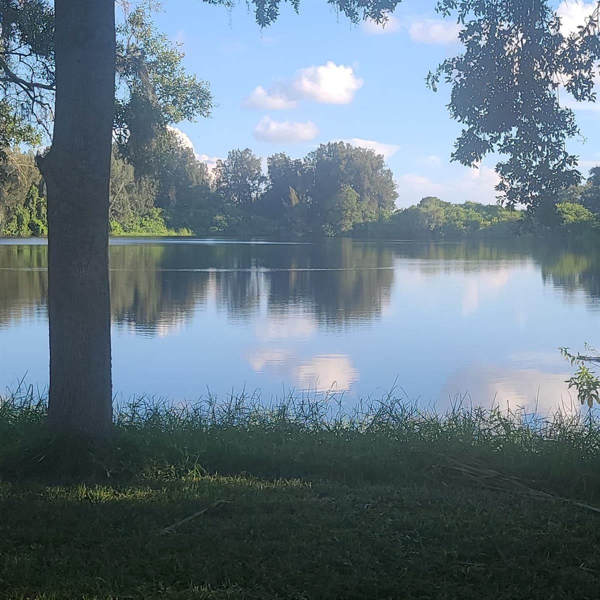 2400 Pine Hammock, FL