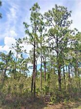 Lot 15 Ixora Dr, FL