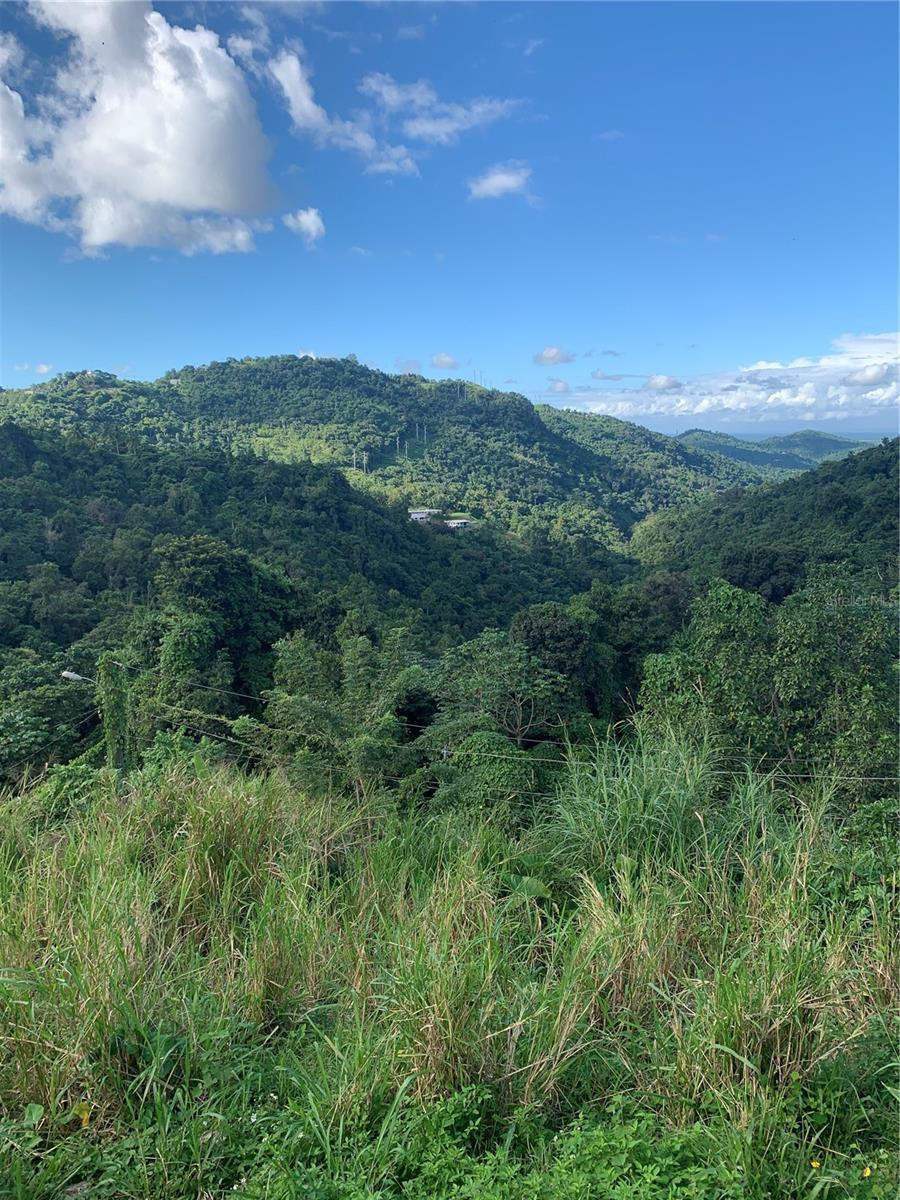 907 Carretera #Km 2.2, PR