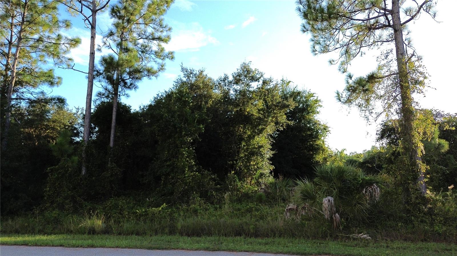 Kingsman Avenue, FL