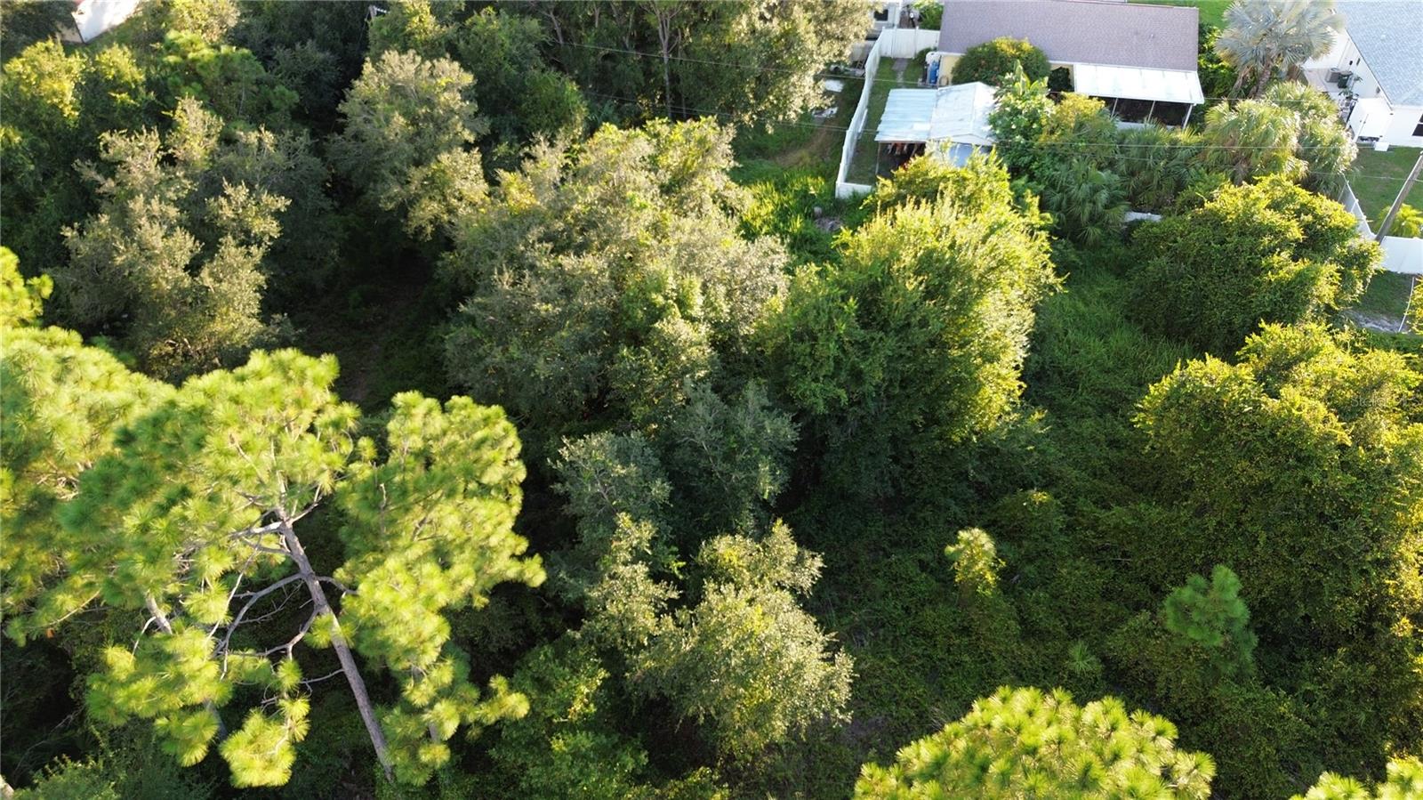 Kingsman Avenue, FL
