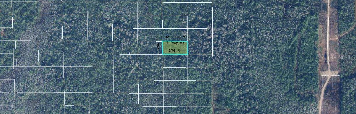 Dill Road, FL