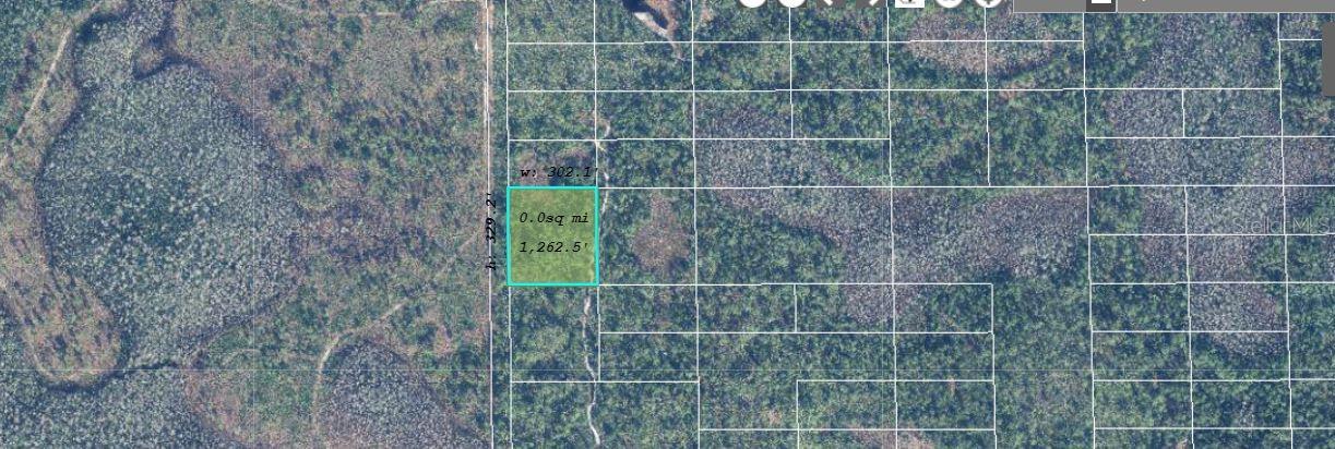 627 Dill Road, FL