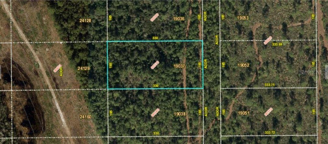 Fort Christmas Road, FL