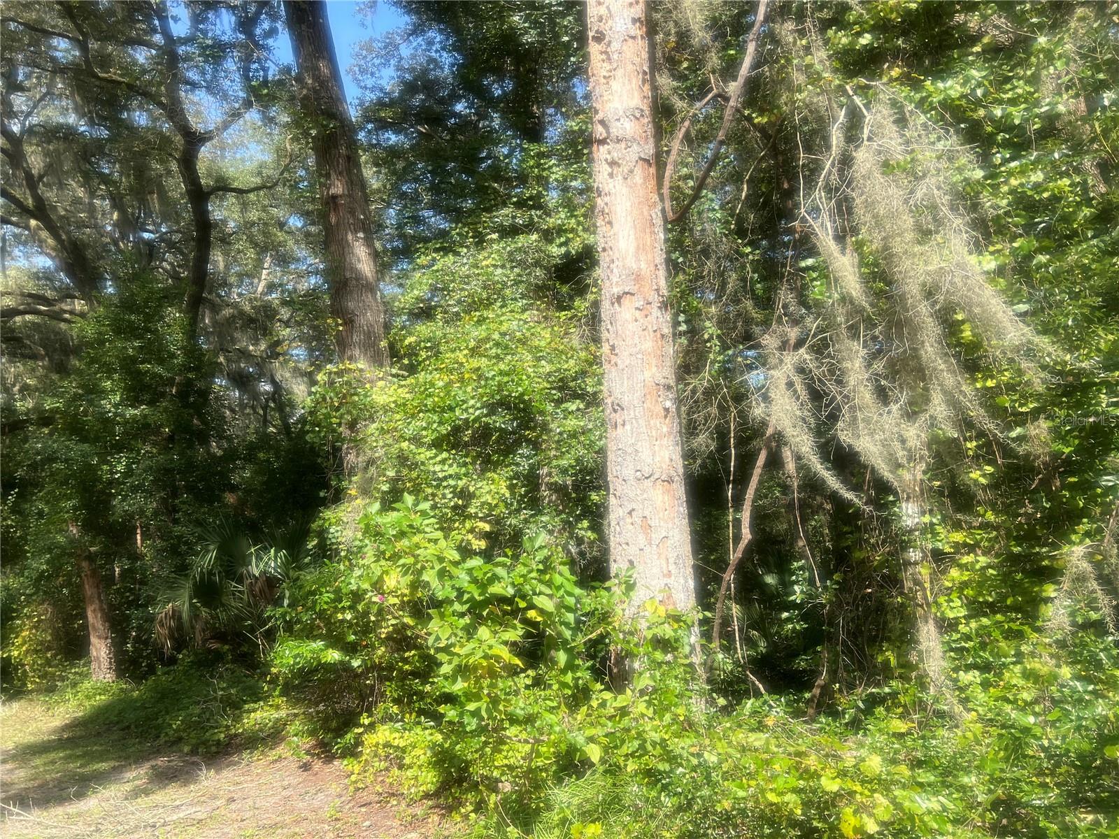 1215 Arredondo Grant Road, FL