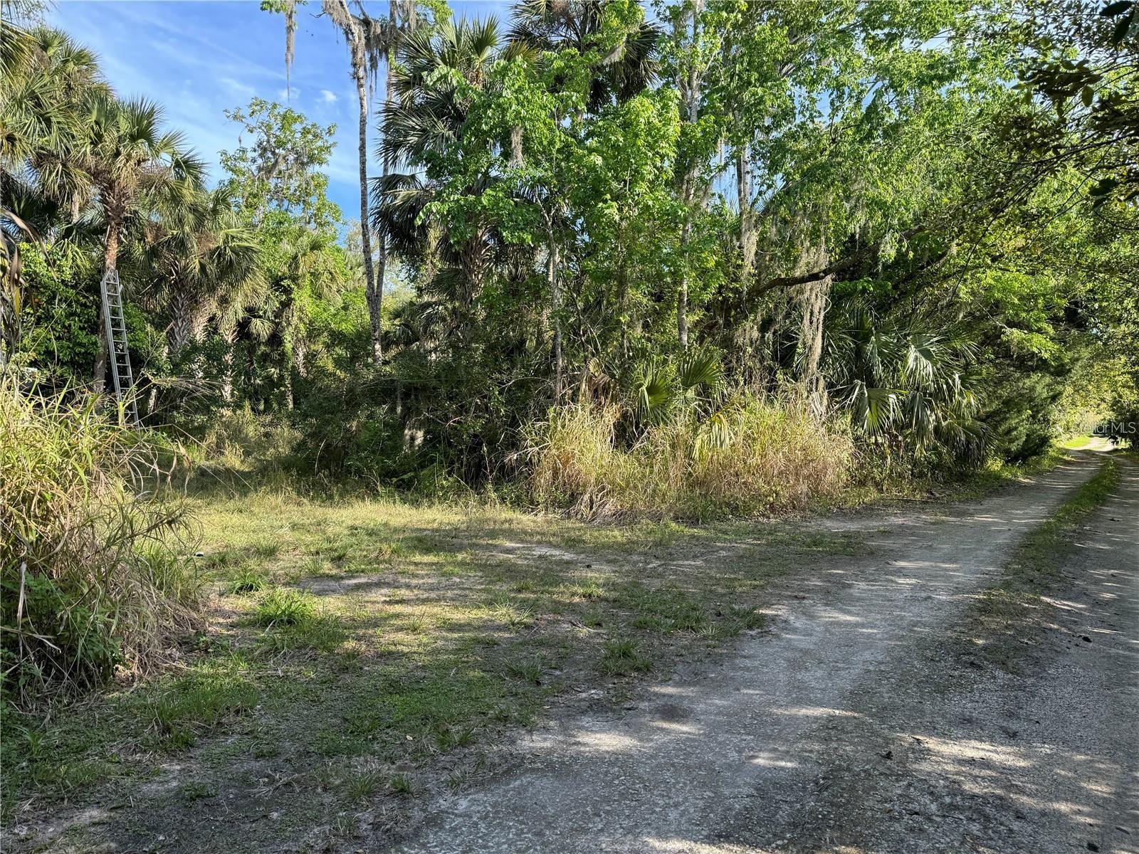 Orange St/Sec 1, FL