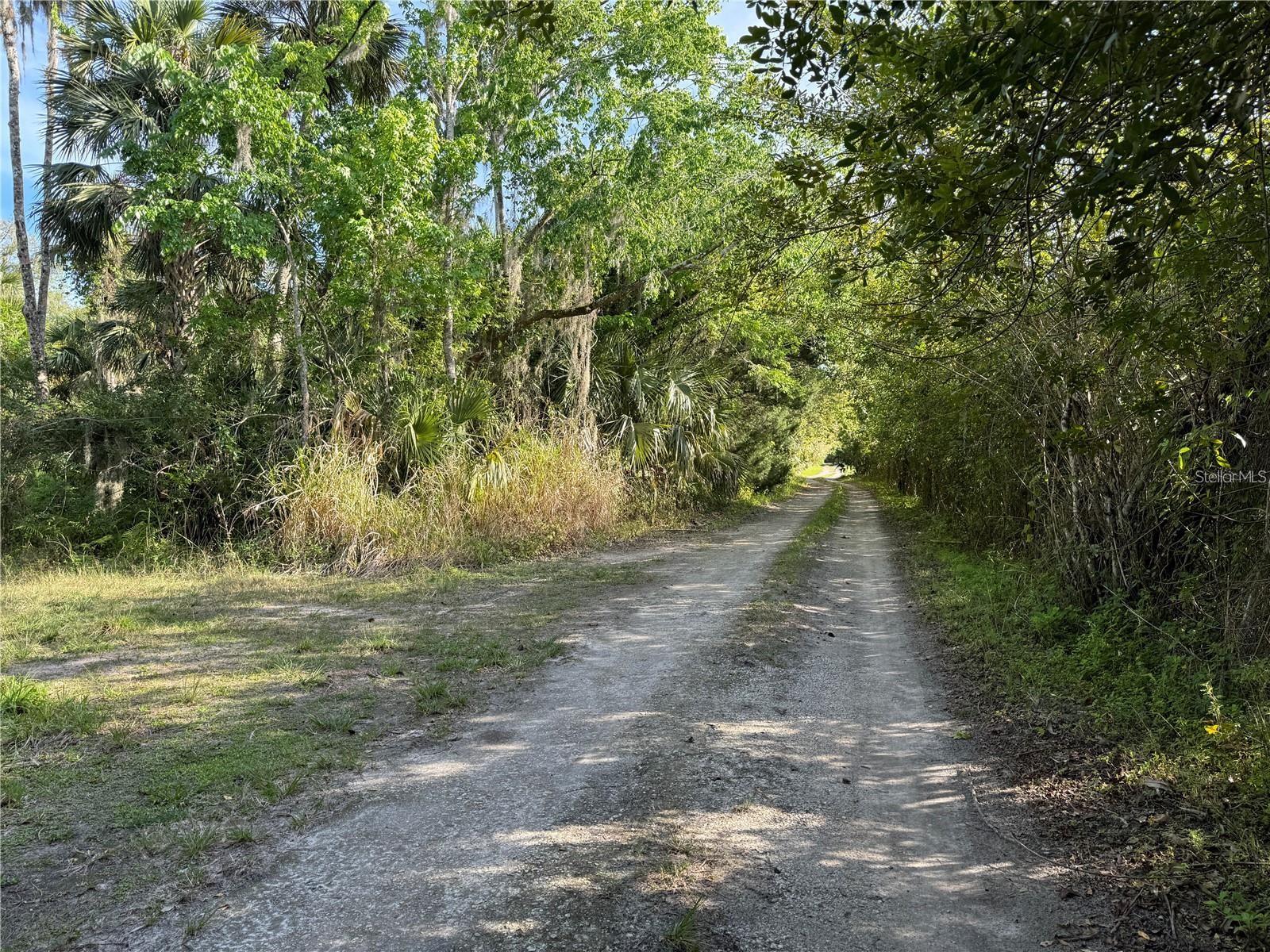 Orange St/Sec 1, FL
