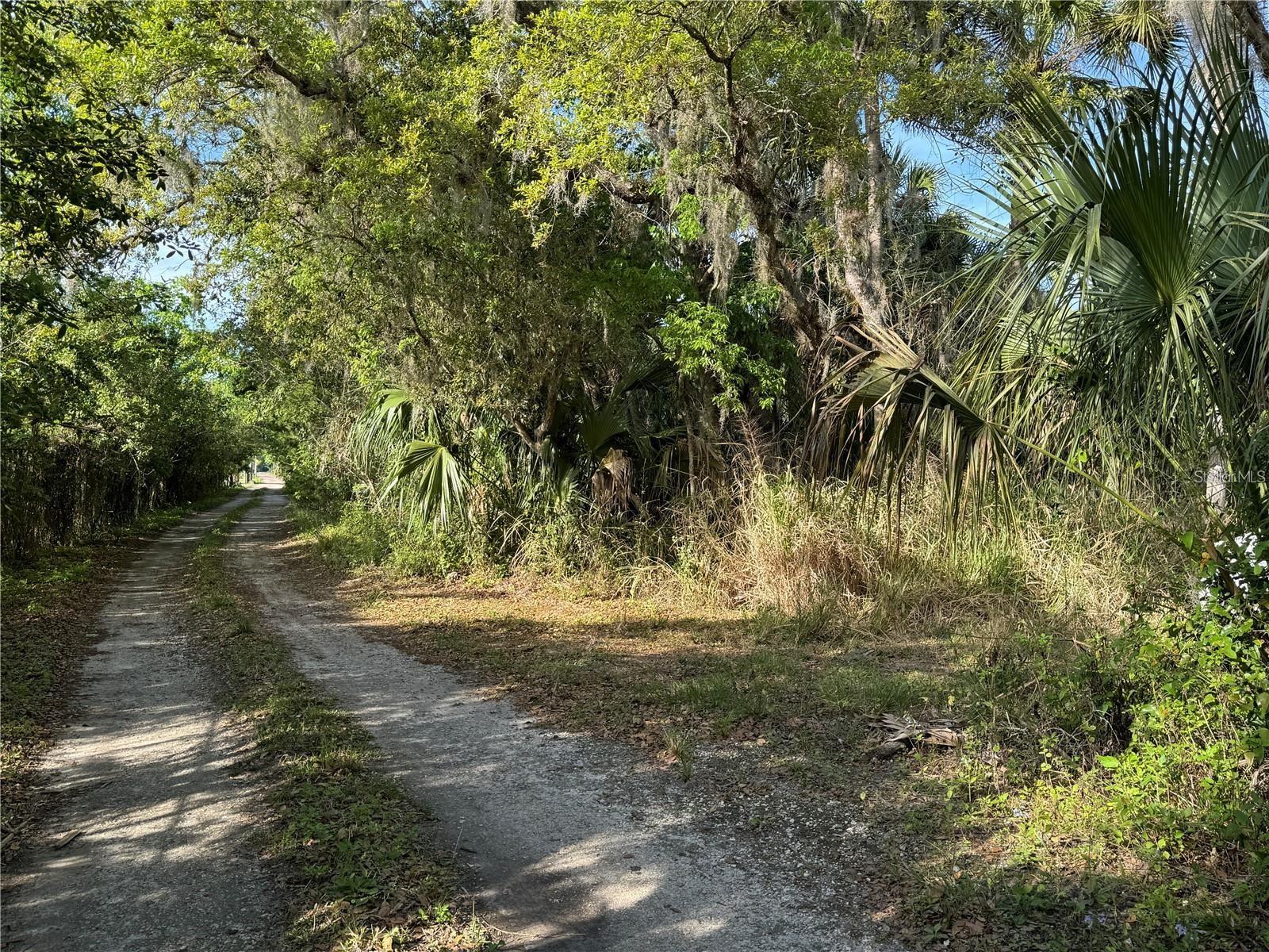 Orange St/Sec 1, FL