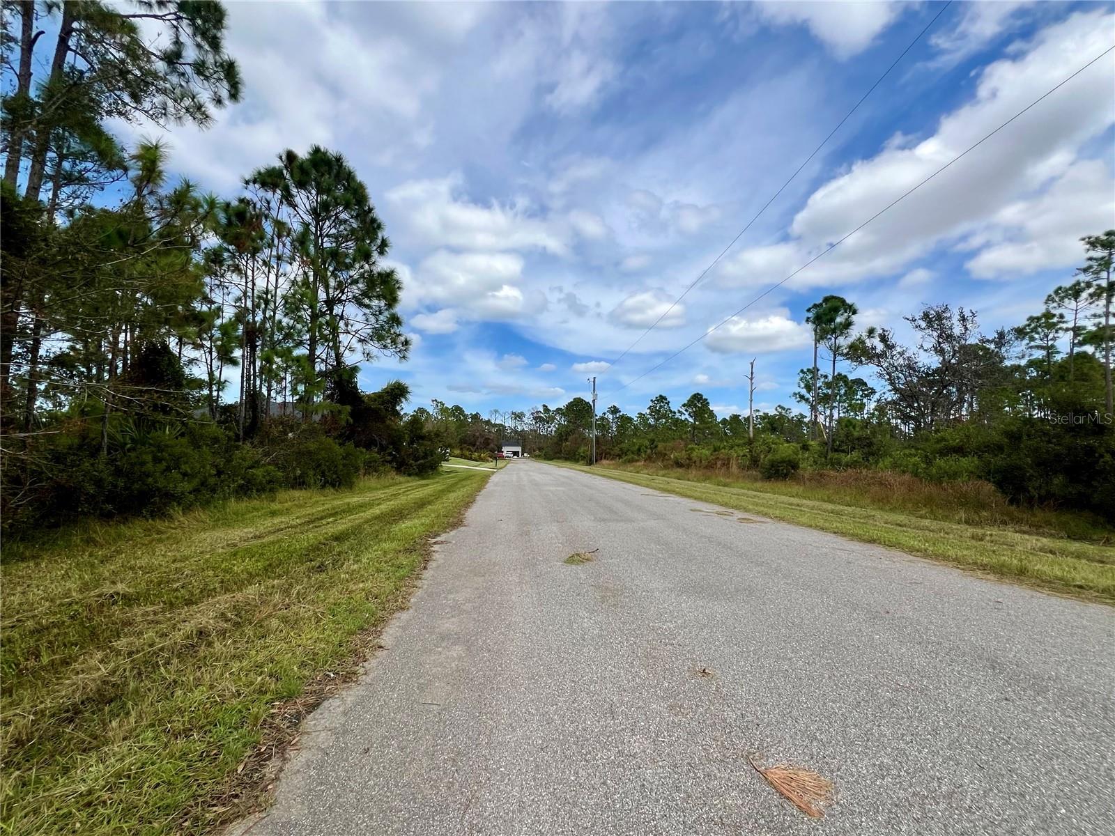 451 Fellenz Street, FL