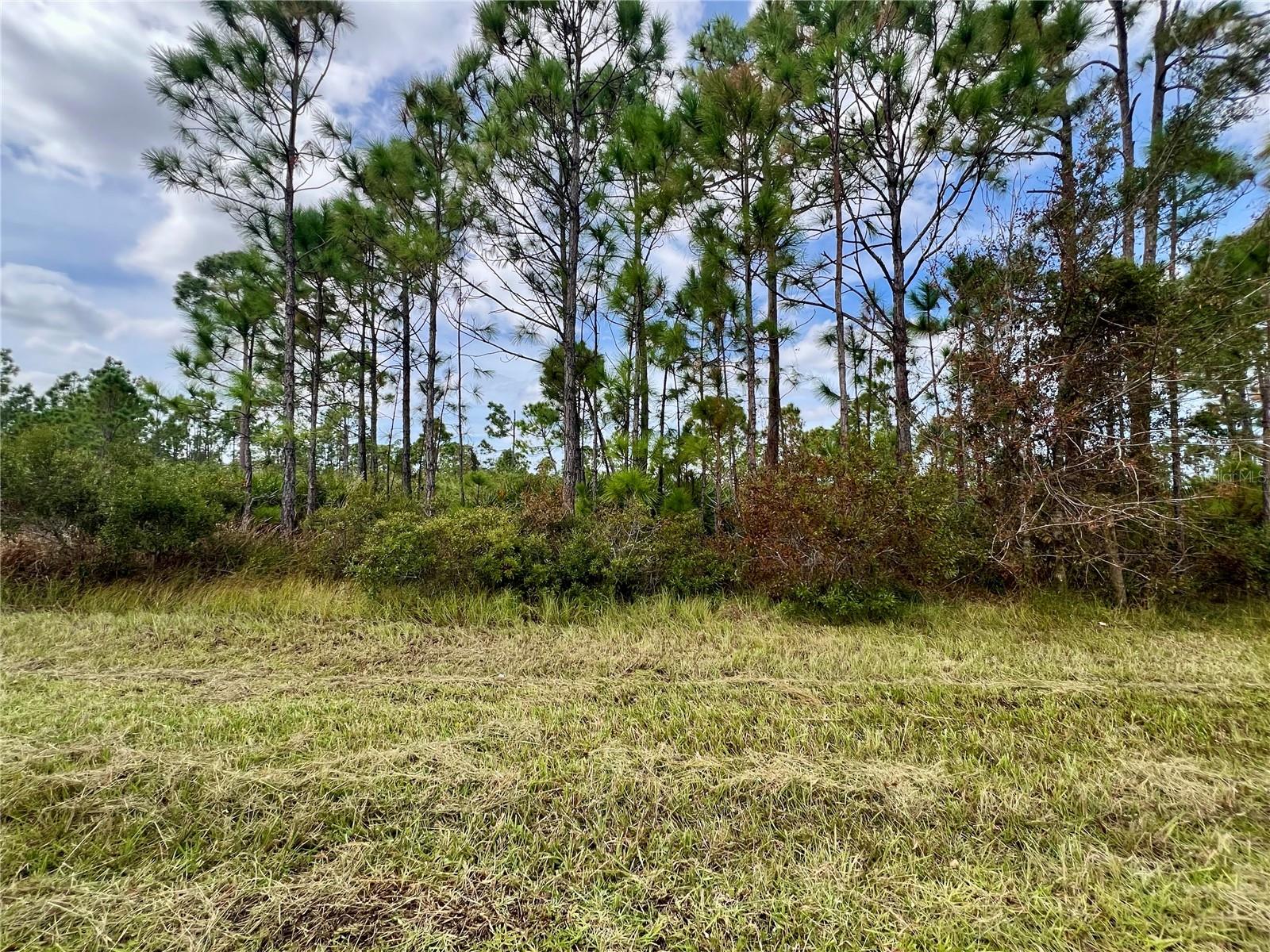 451 Fellenz Street, FL