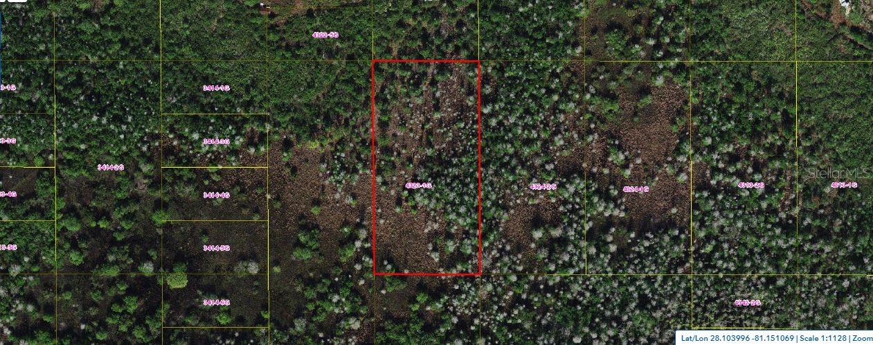Holopaw Groves Rd, FL