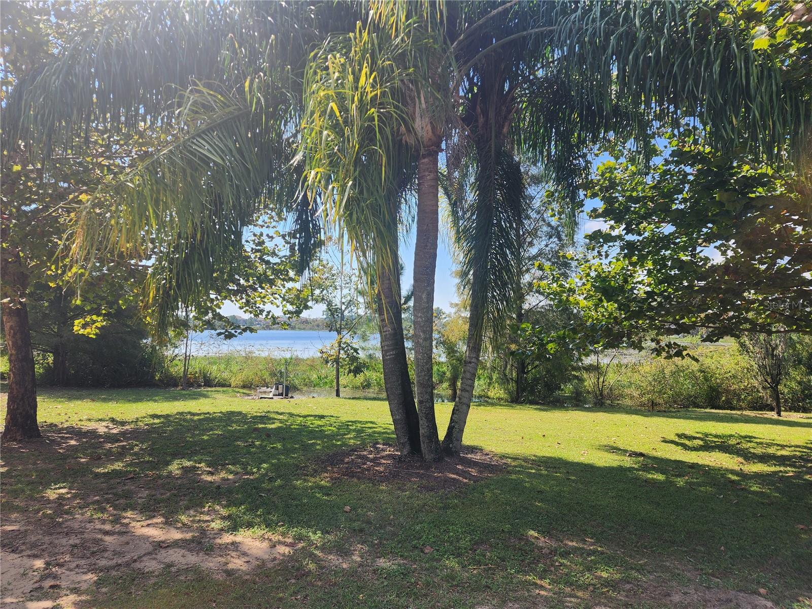 14902 Arrena Road, FL