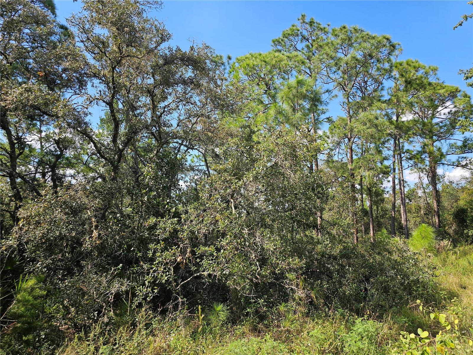 7105 Orchid Place, FL