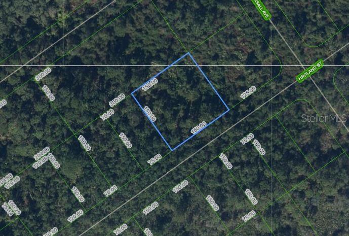 1210 Haviland Street, FL