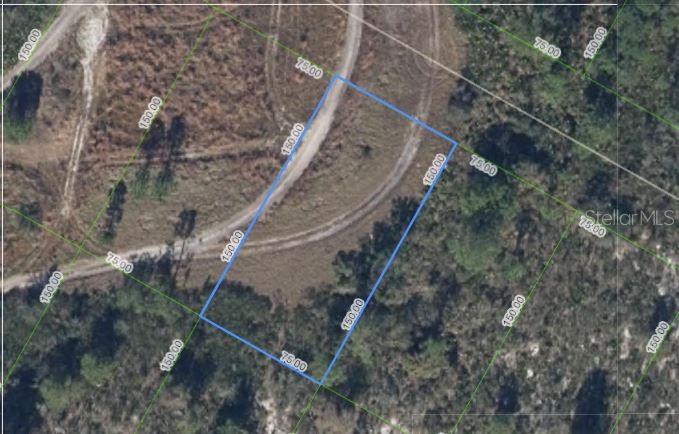 1033 Cleveland Avenue, FL