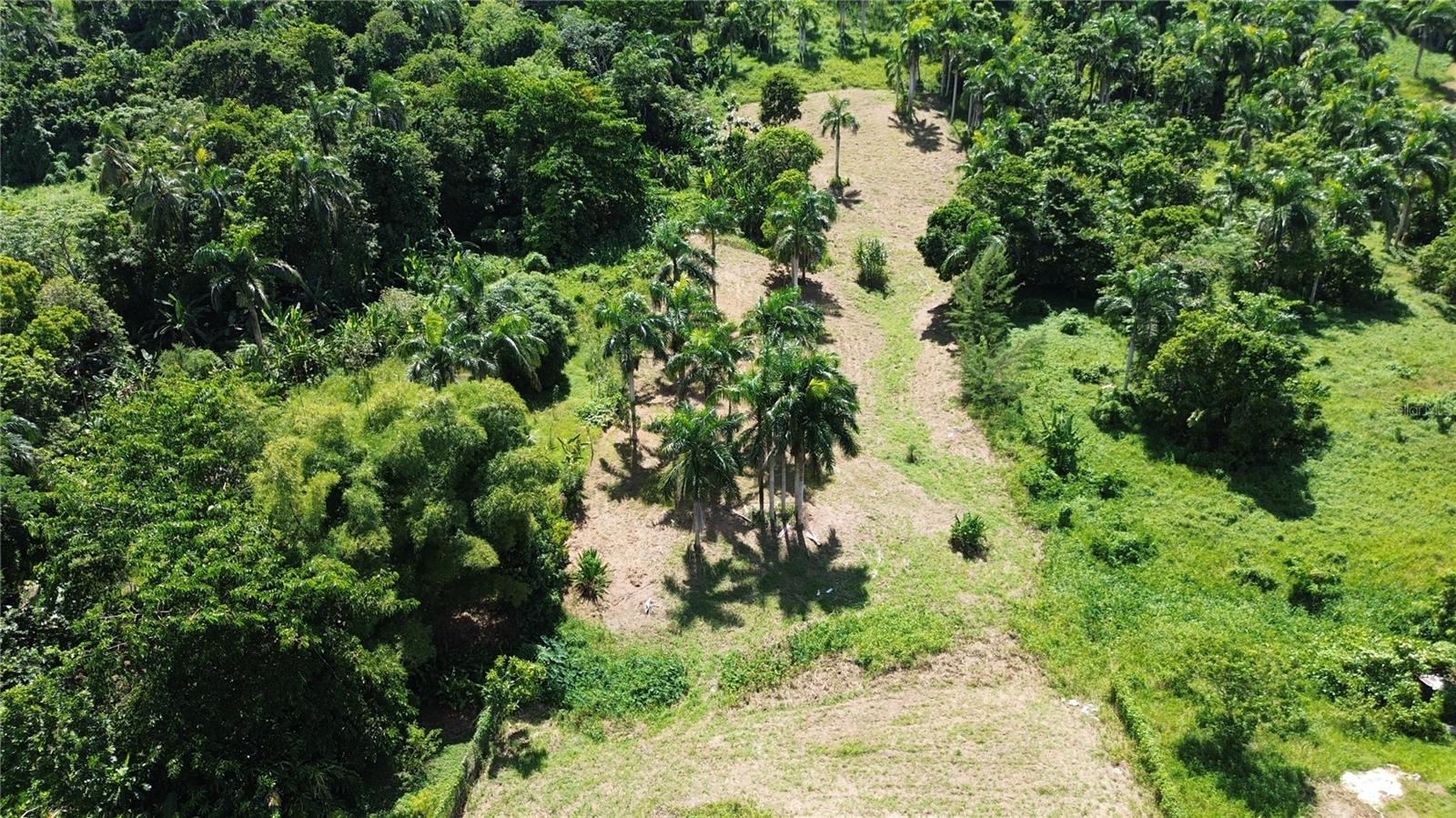 Pr-992 Km 5.7 Bello Sitio Mameyes, Lot 9, PR