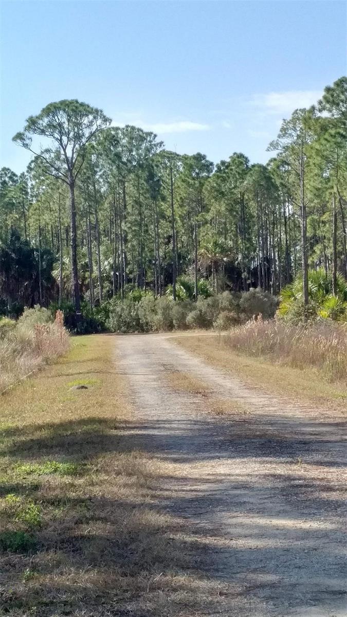 Lot 7 Sw 104 St, FL