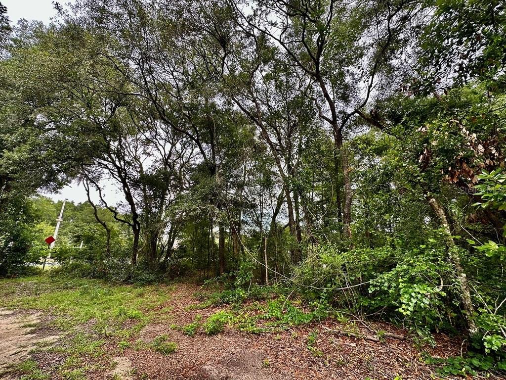 76th Terrace, FL