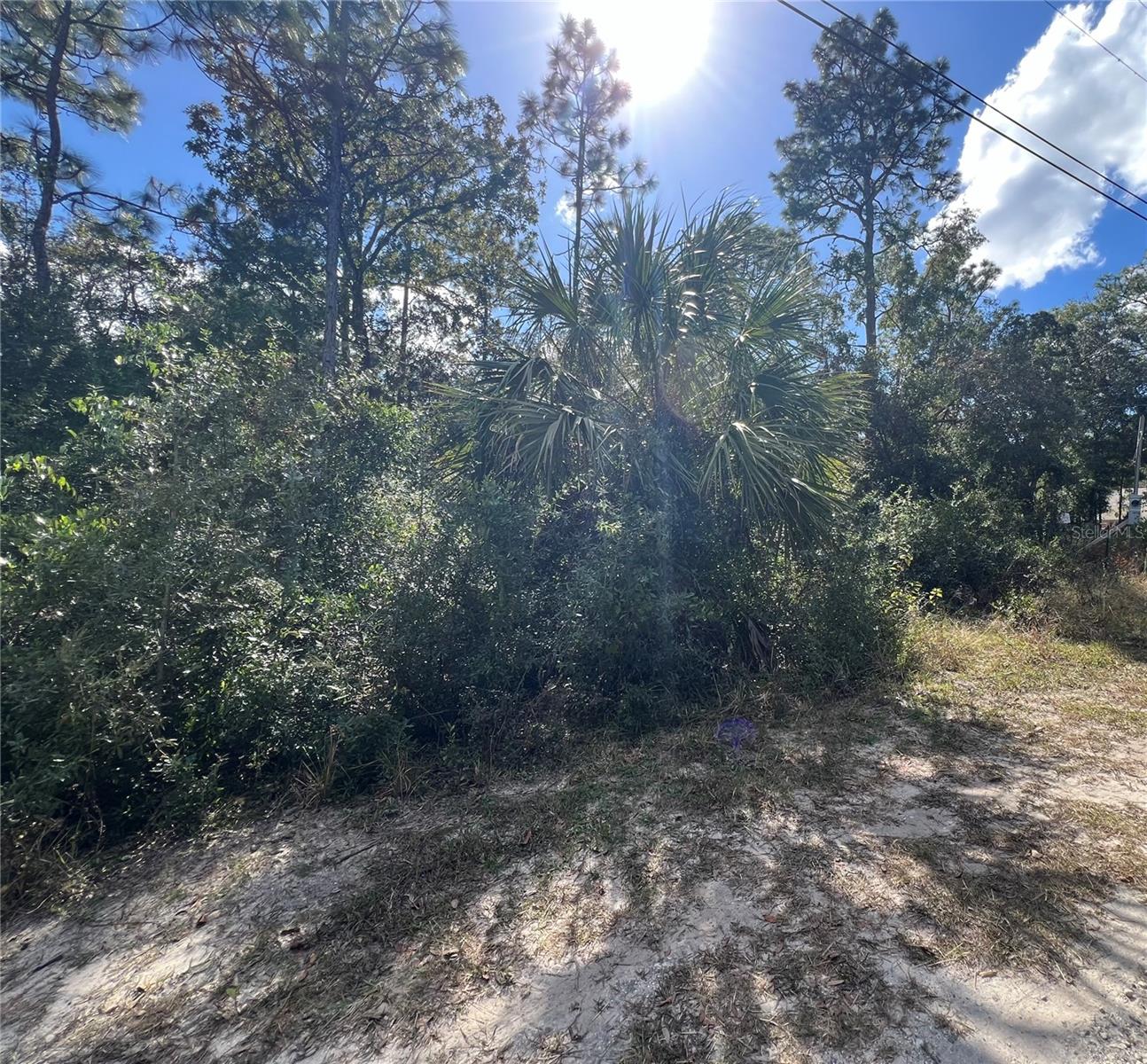 5650 Kettle Lane, FL