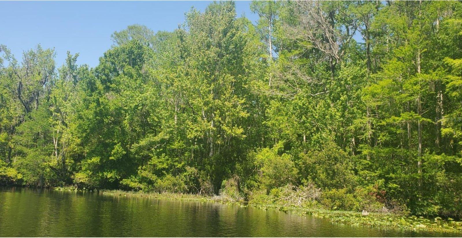 00 W Highway 40, FL