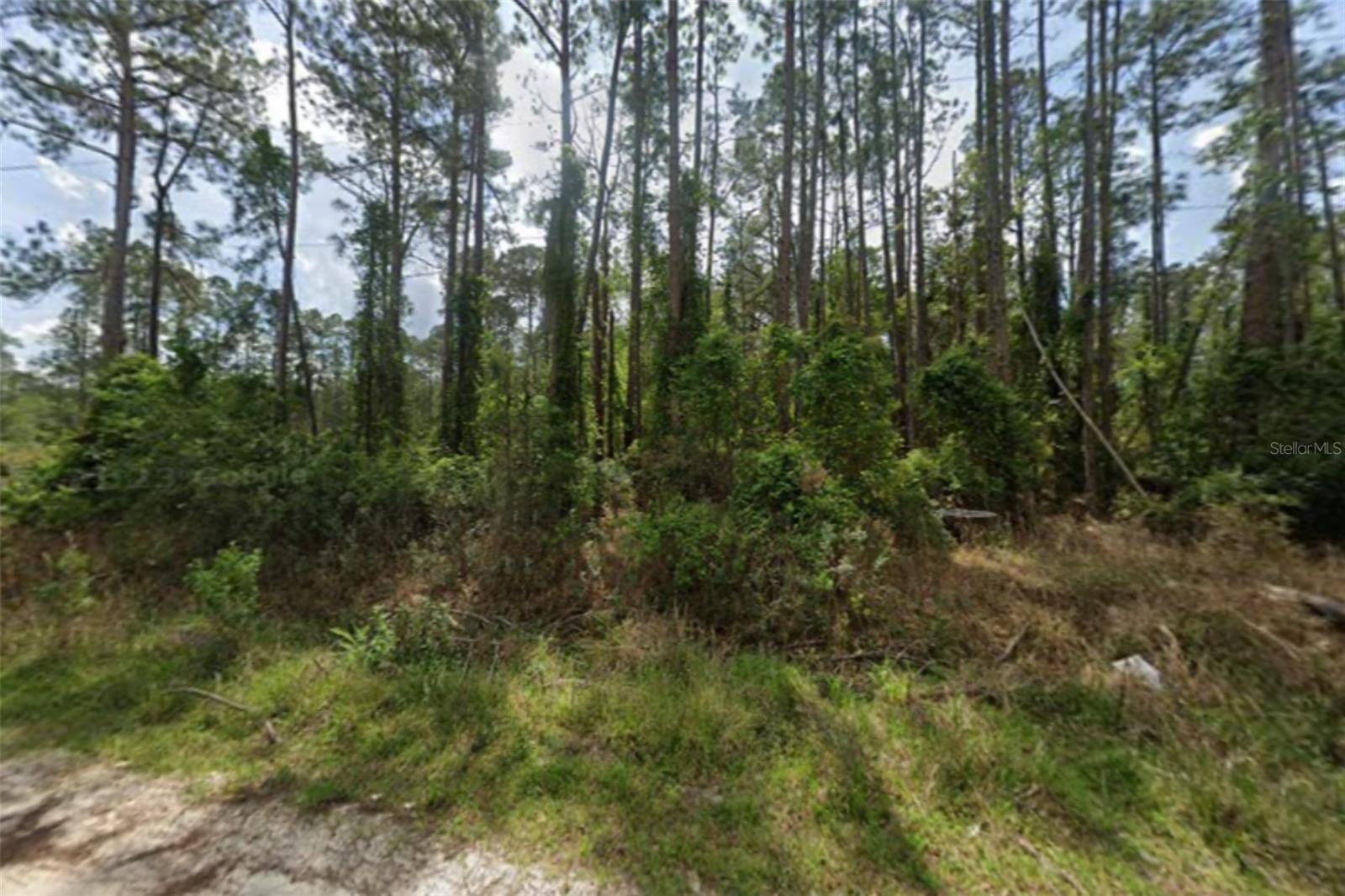 105 Pine Cone Drive, FL