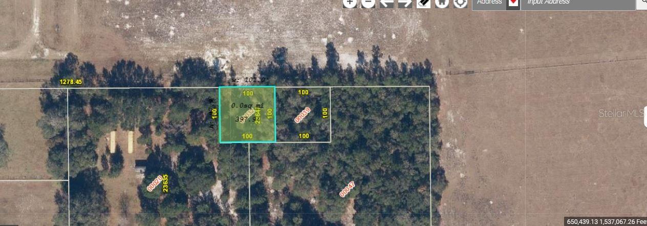 1349 Fort Christmas Road, FL