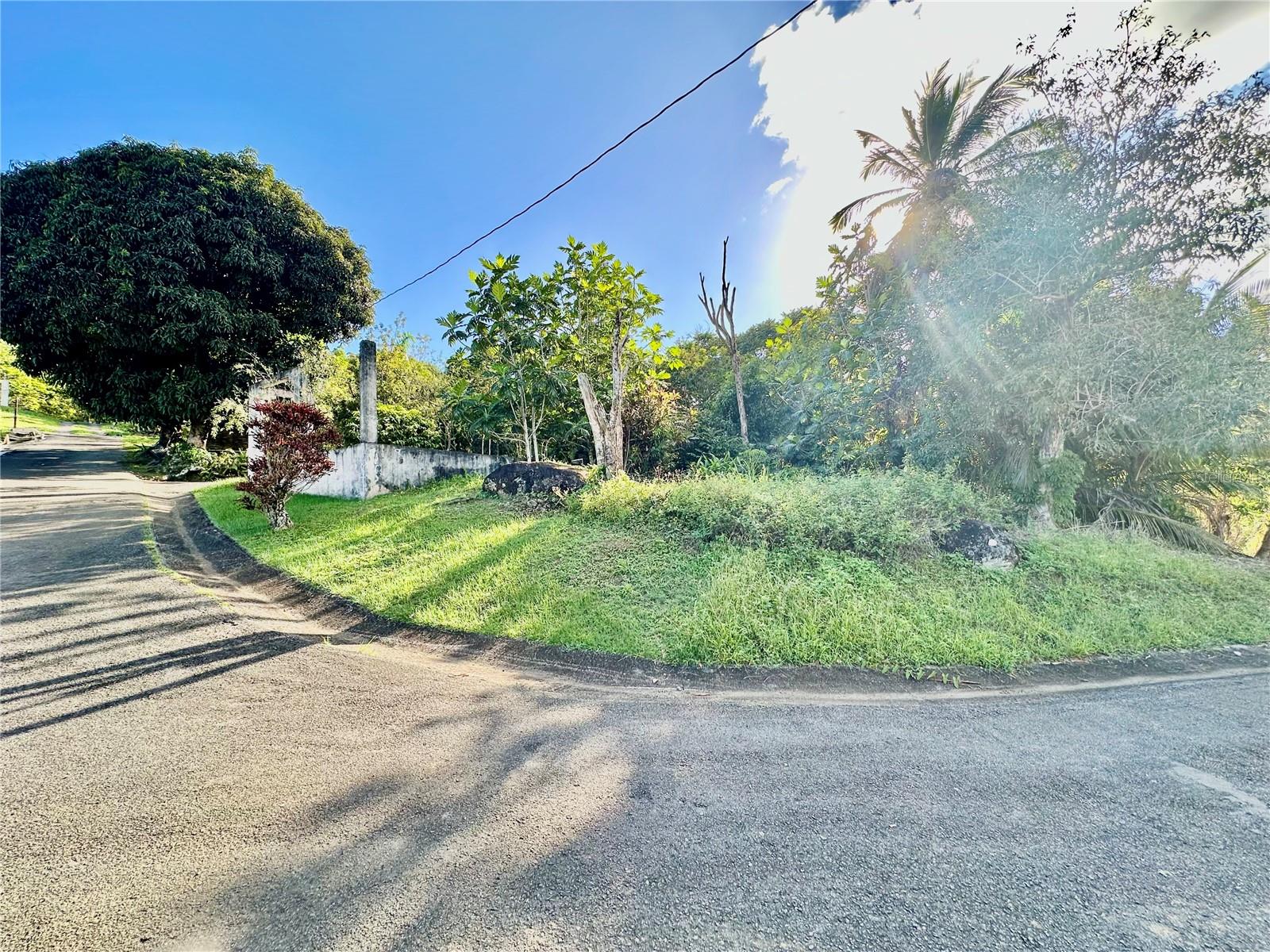 Road 185 Barrio Cedros Road 185 Barrio Cedros, PR