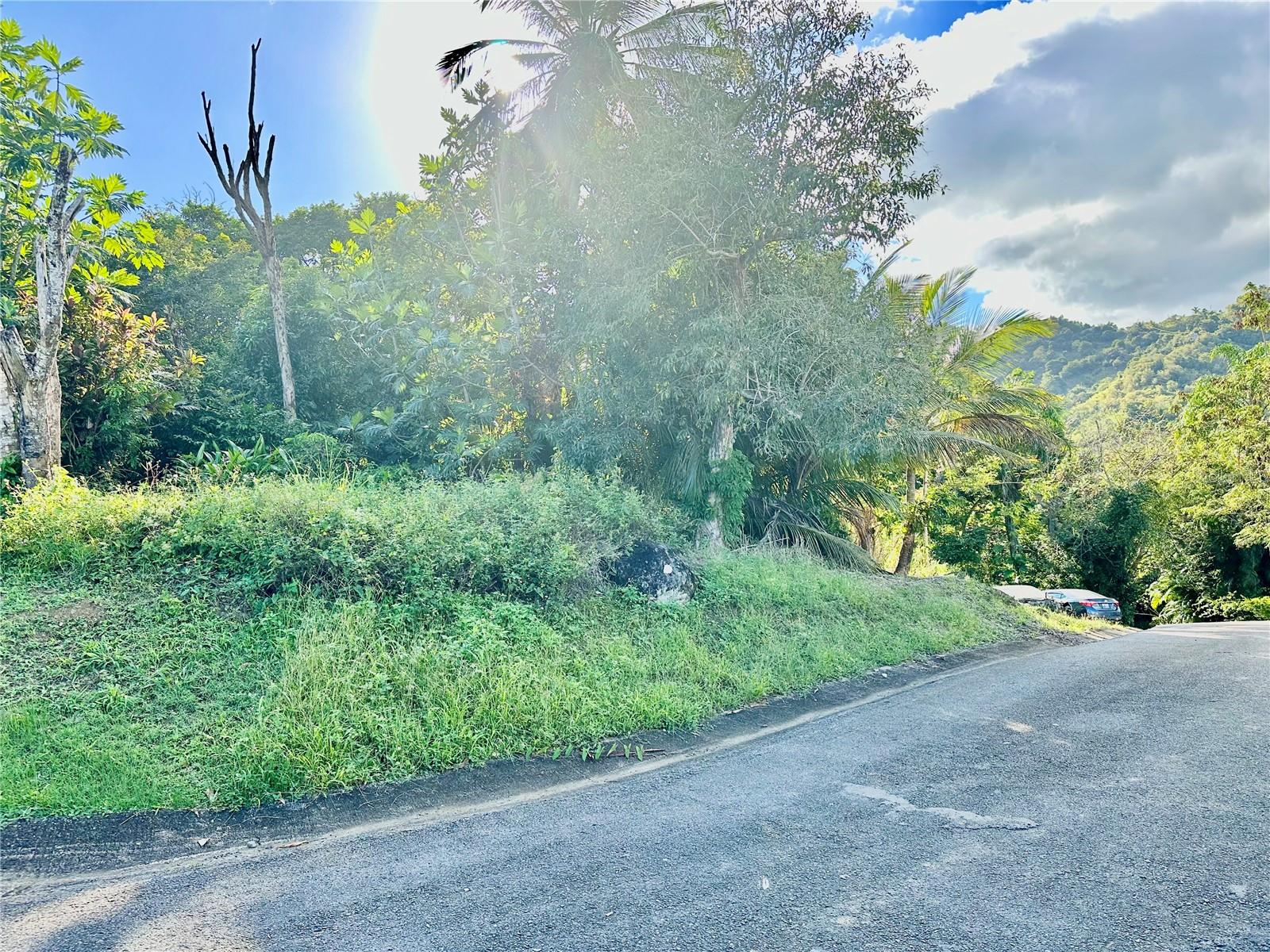 Road 185 Barrio Cedros Road 185 Barrio Cedros, PR