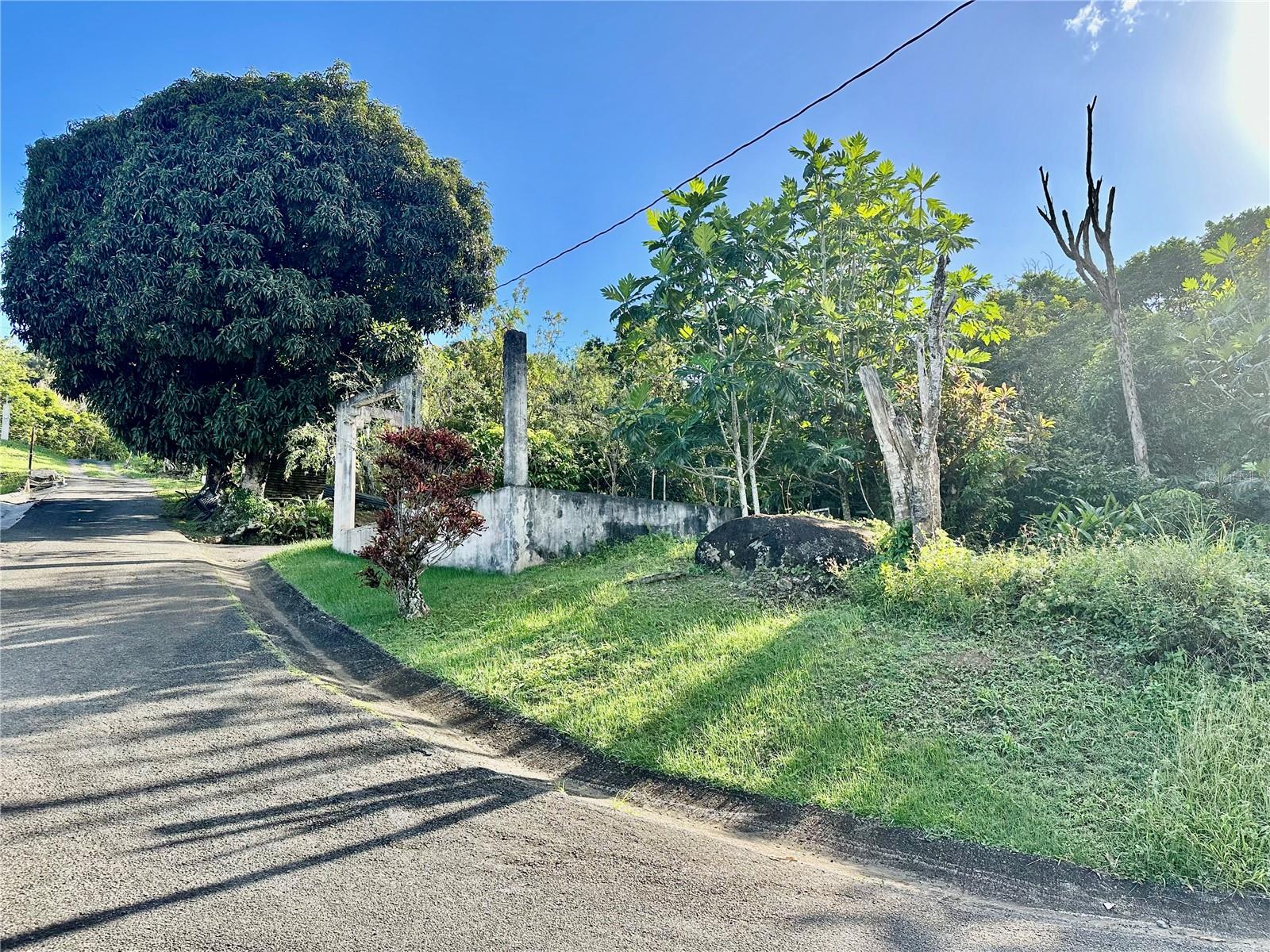 Road 185 Barrio Cedros Road 185 Barrio Cedros, PR
