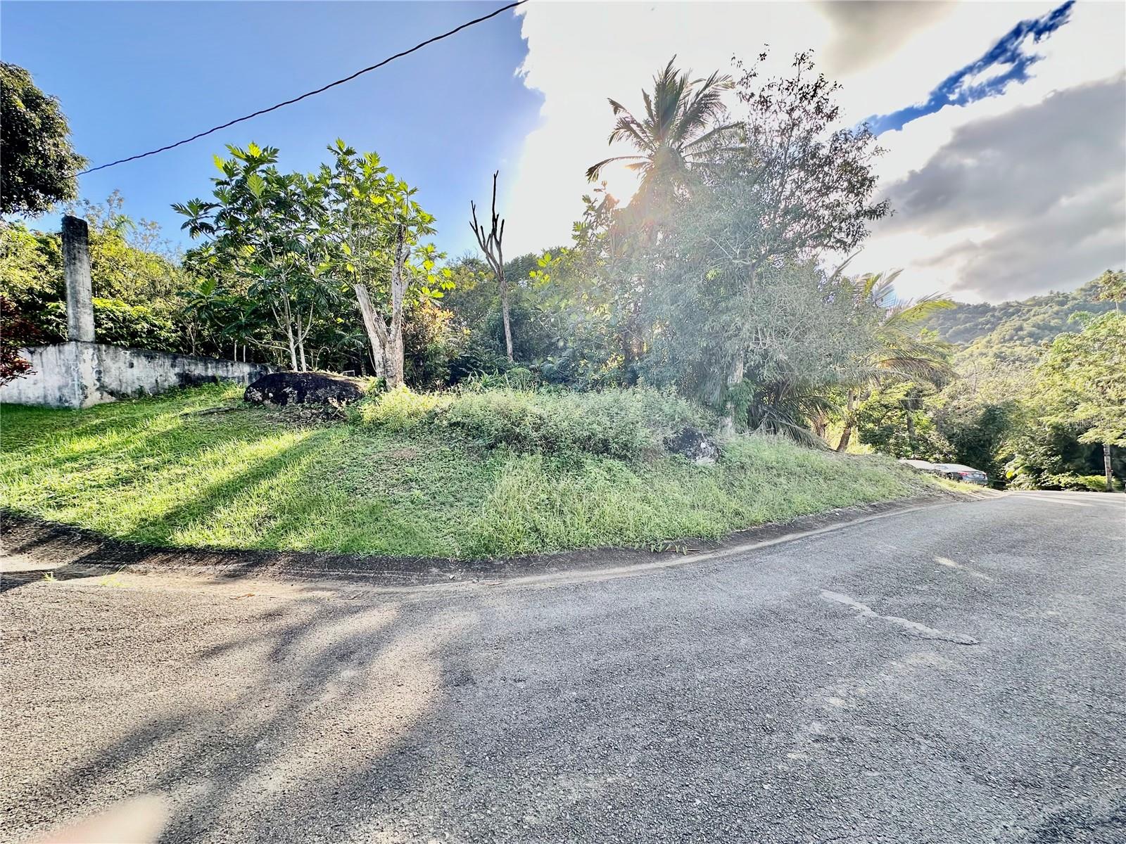 Road 185 Barrio Cedros Road 185 Barrio Cedros, PR