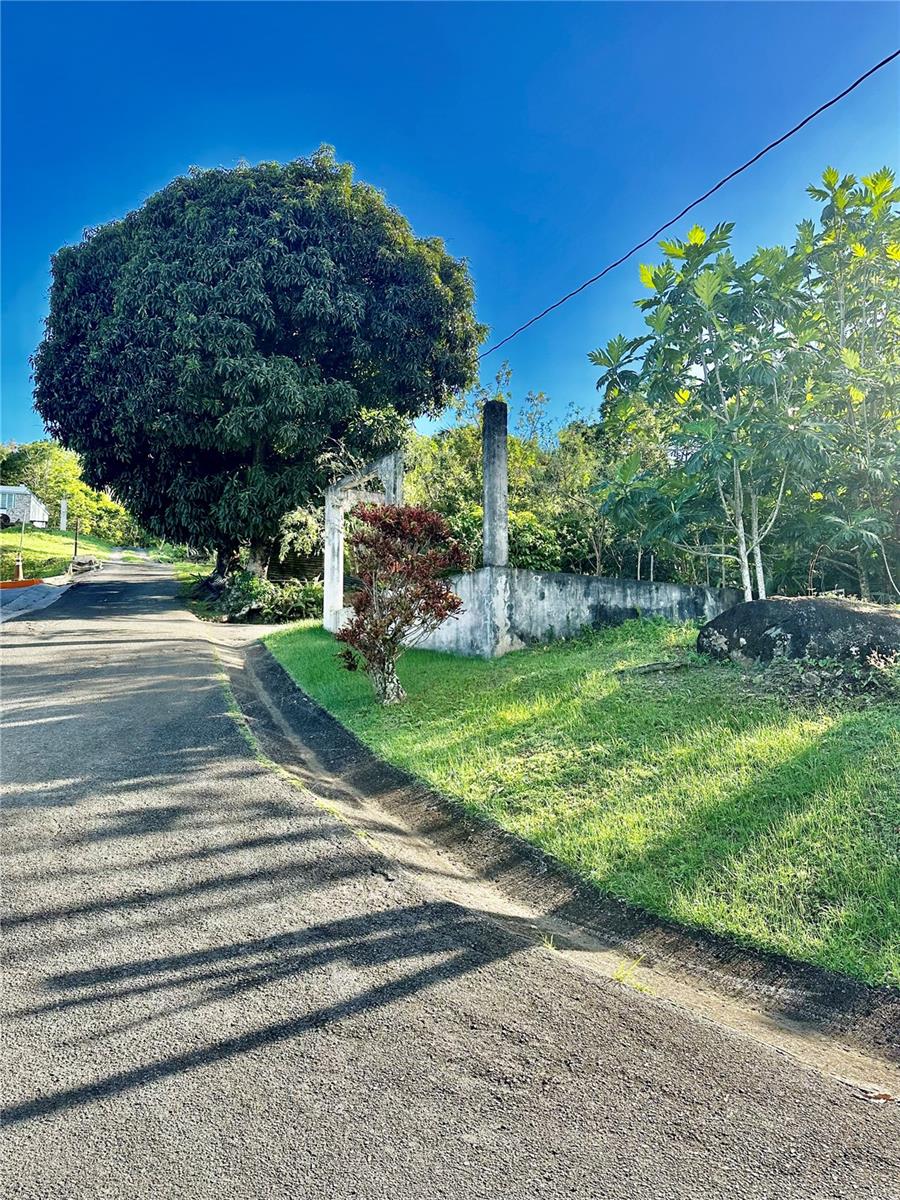 Road 185 Barrio Cedros Road 185 Barrio Cedros, PR