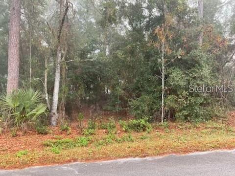 0 Se 99th Ave, FL