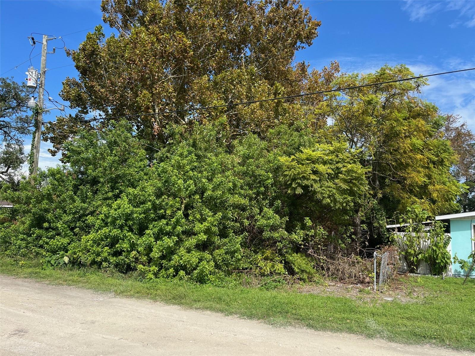7103 Jeanne Avenue, FL