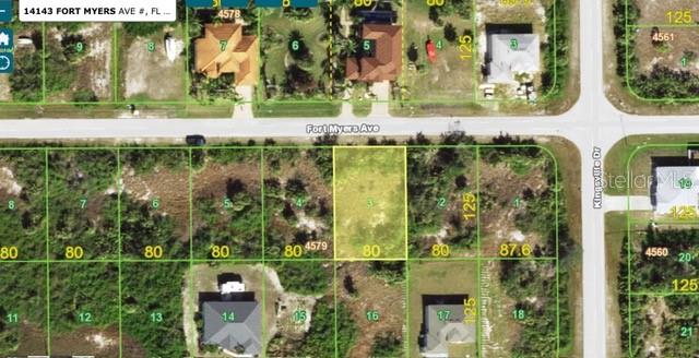 14143 Fort Myers Ave, FL