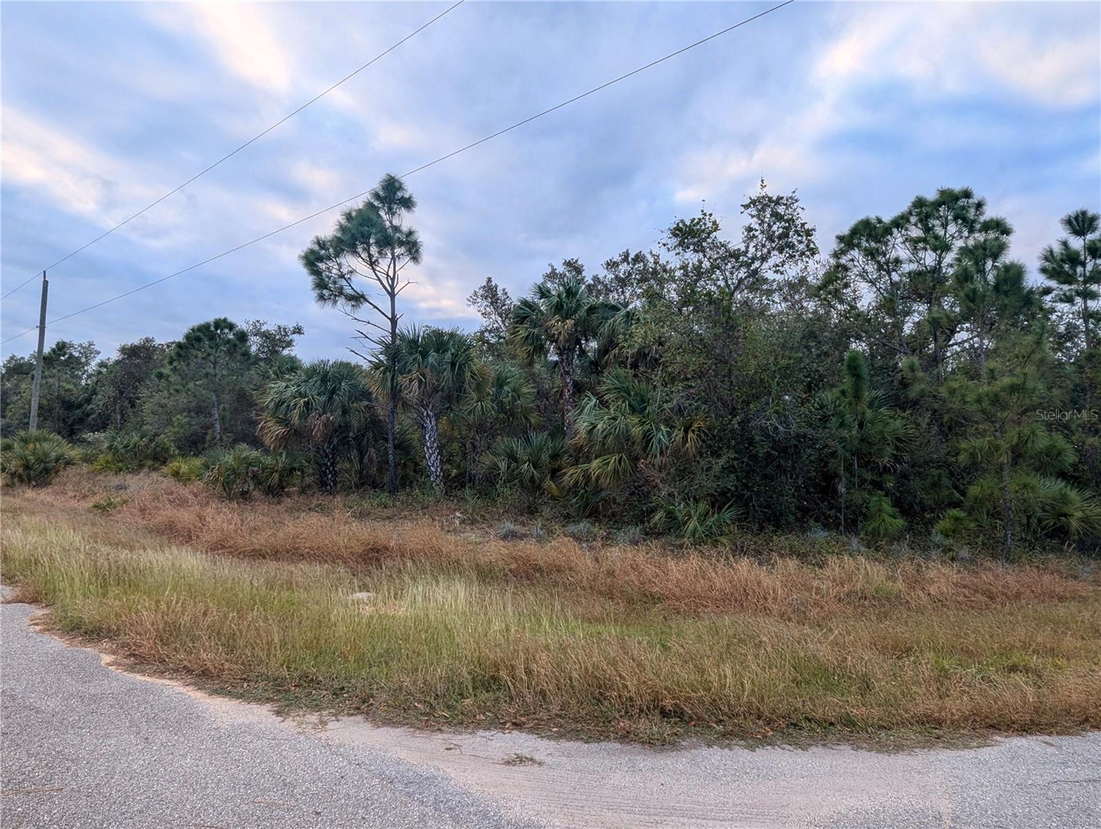 Lot 11 Mattox Circle, FL