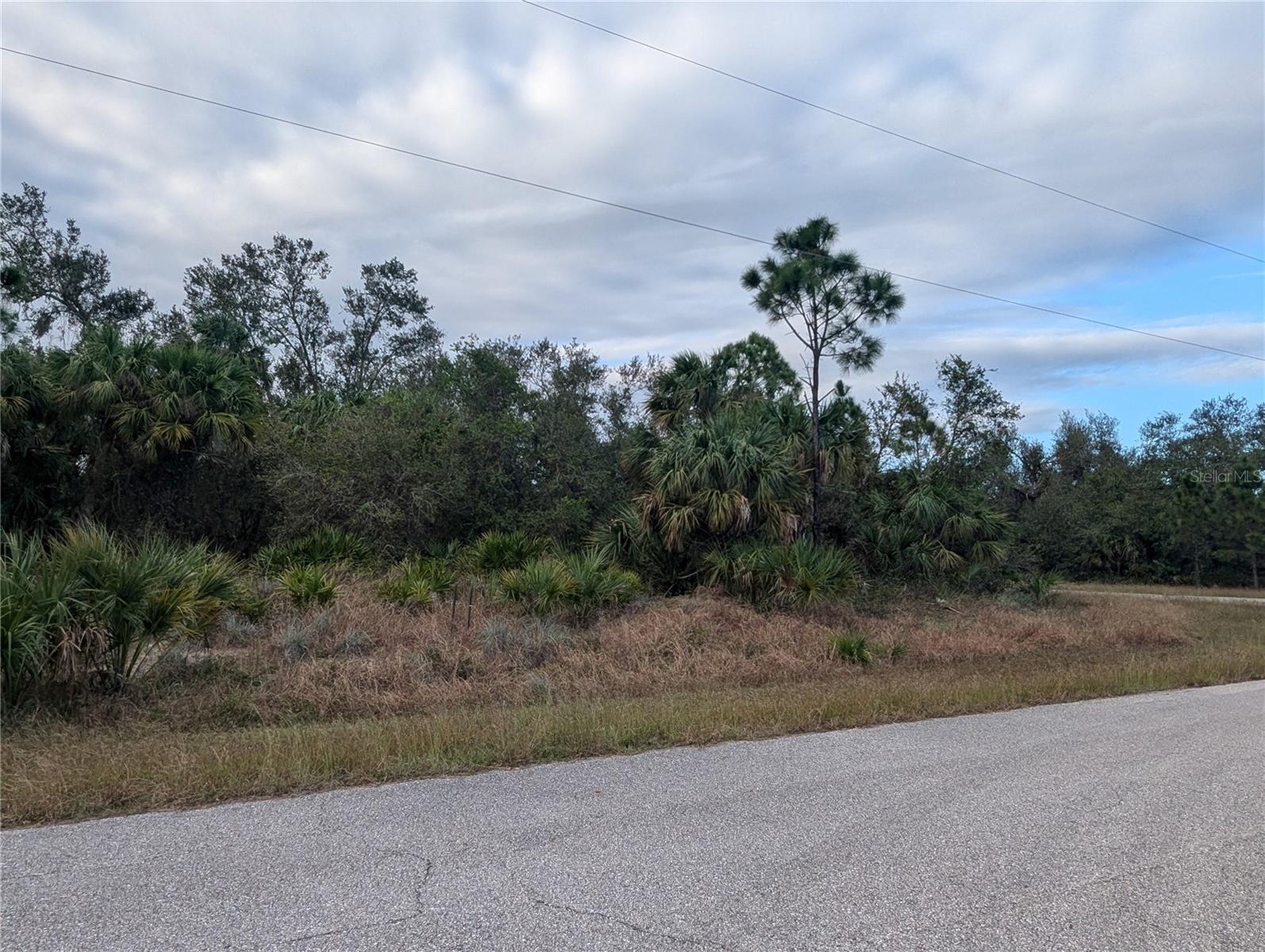Lot 11 Mattox Circle, FL