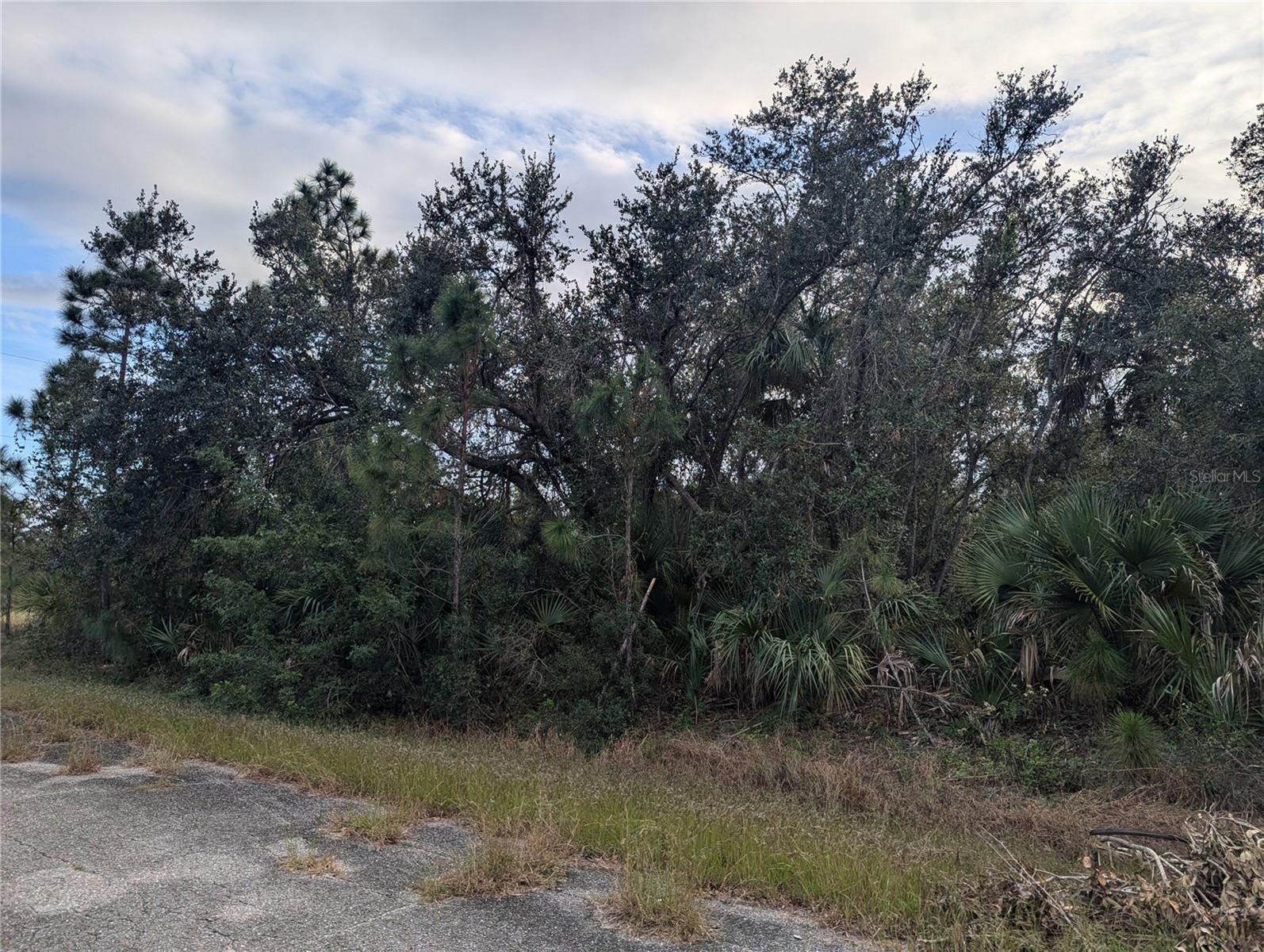 Lot 11 Mattox Circle, FL