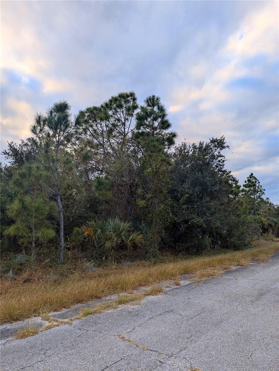 Lot 11 Mattox Circle, FL