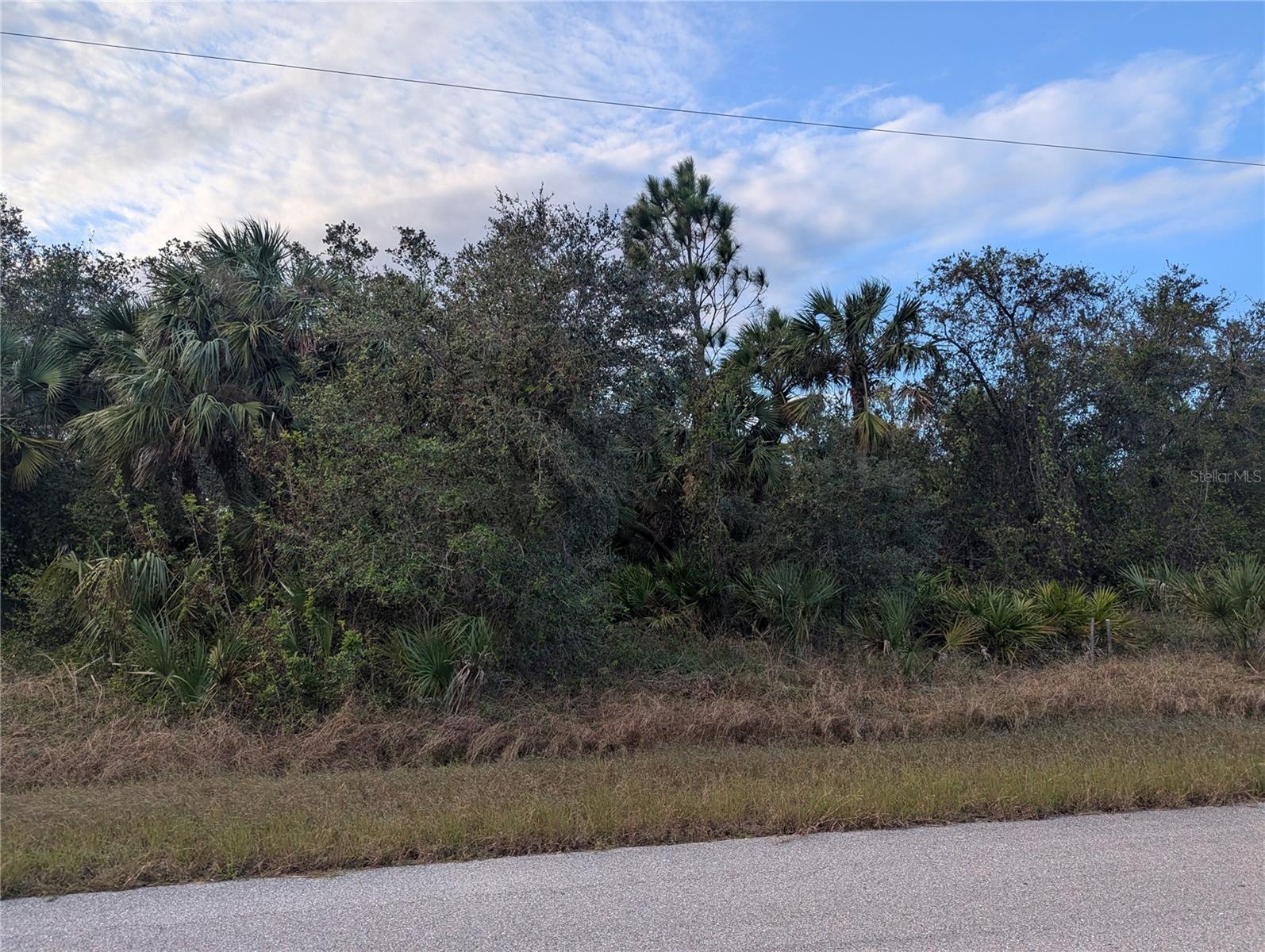 Lot 12 Mattox Circle, FL