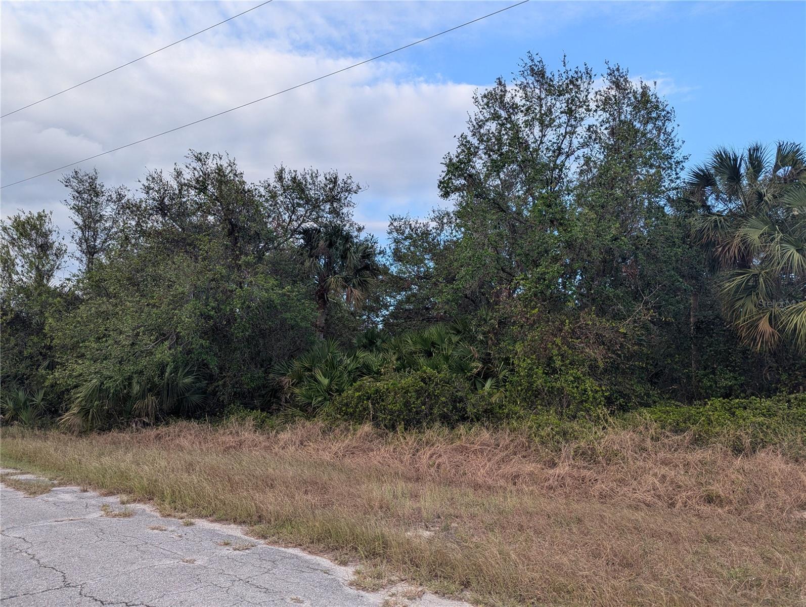 Lot 13 Mattox Circle, FL