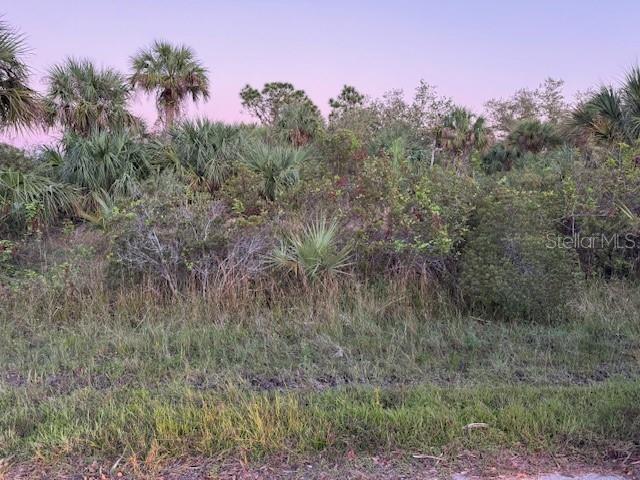 2106 Rickover Street, FL