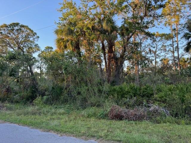 14103 Carrie Avenue, FL