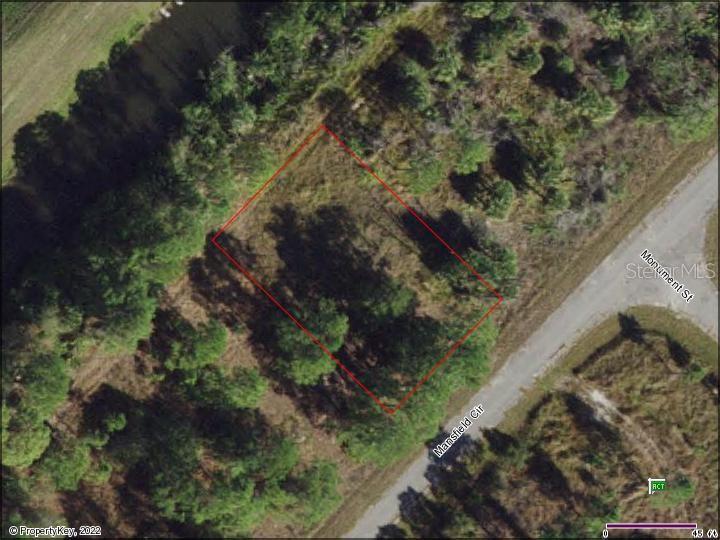 Mansfield Circle, FL
