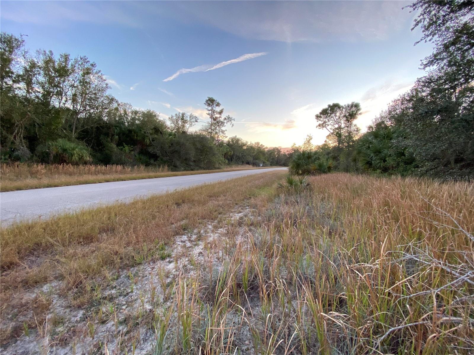 Whaling Road, FL