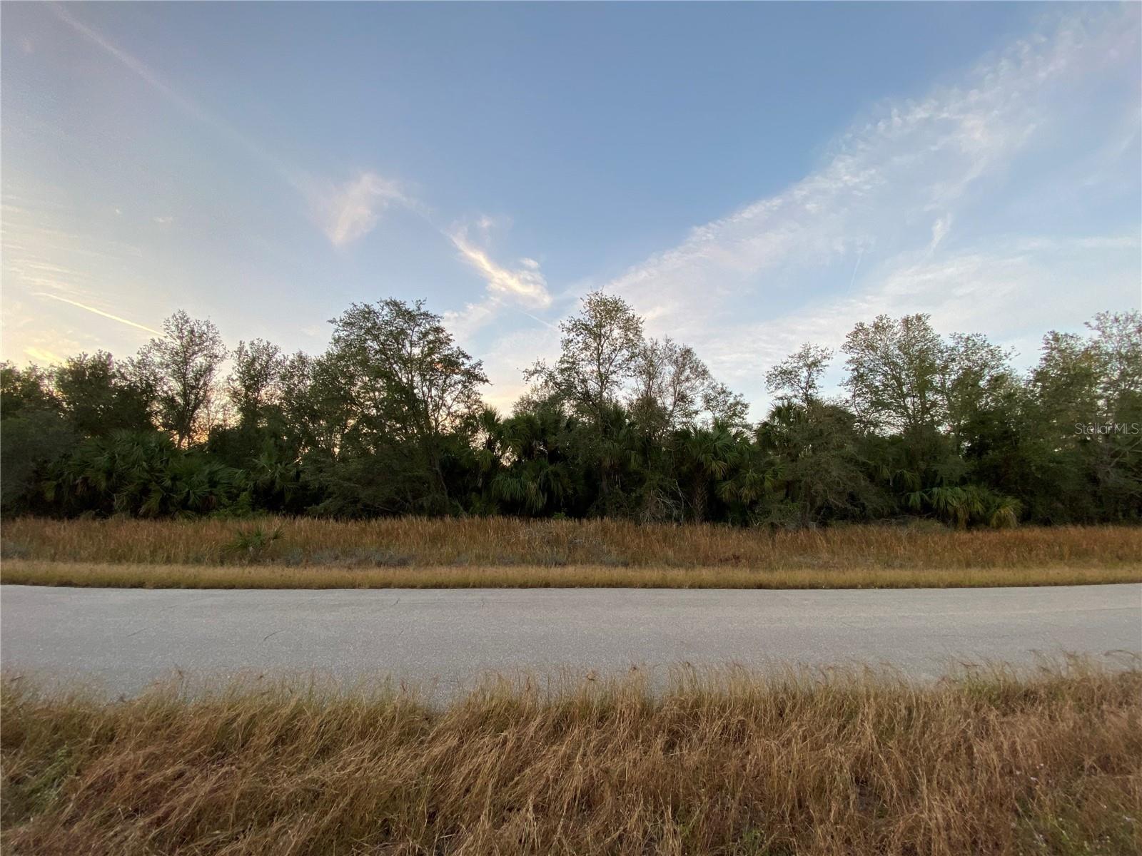 Whaling Road, FL