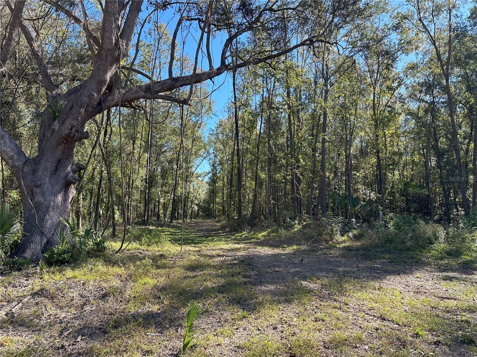 55ac W Hwy 318, FL